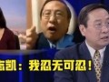 武汉弘阳天悦最新爆料事件,揭秘项目疑云与业主维权真相
